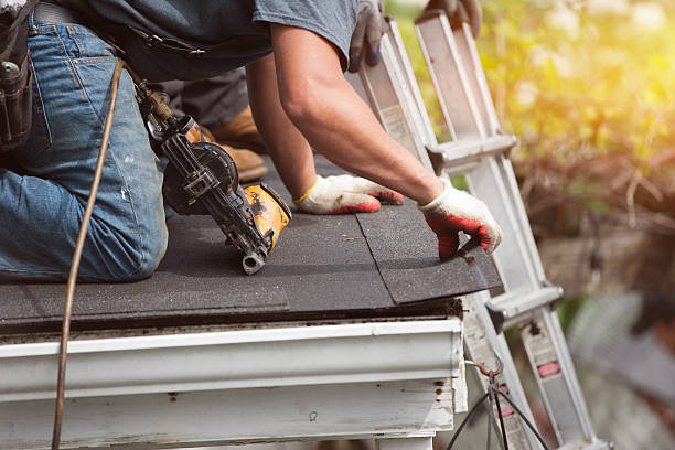 Best Local Roofing Companies  in Harlem Heights, FL