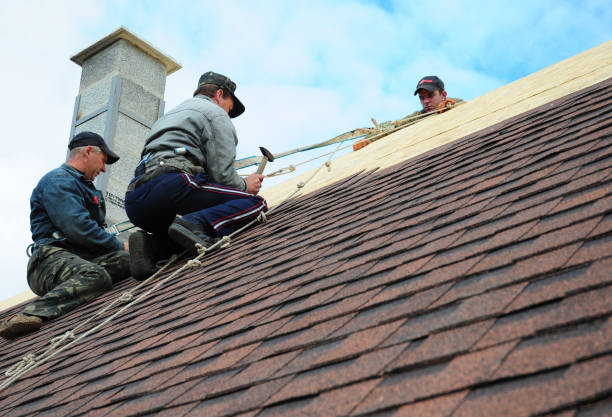 Best Roof Maintenance Services  in Harlem Heights, FL