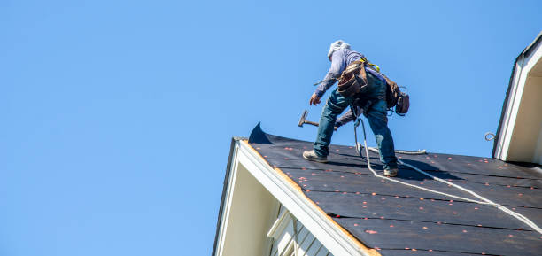 Roof Installation Near Me in Harlem Heights, FL